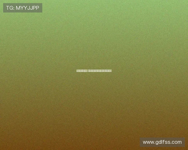 新赛季正式开启 这面盾牌象征着未来的挑战与希望